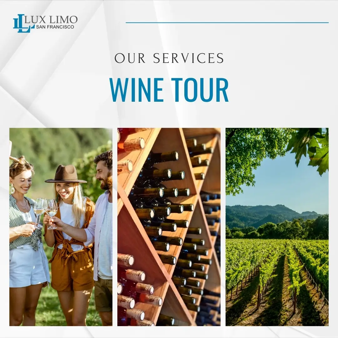 slider-sfluxlimo (1)