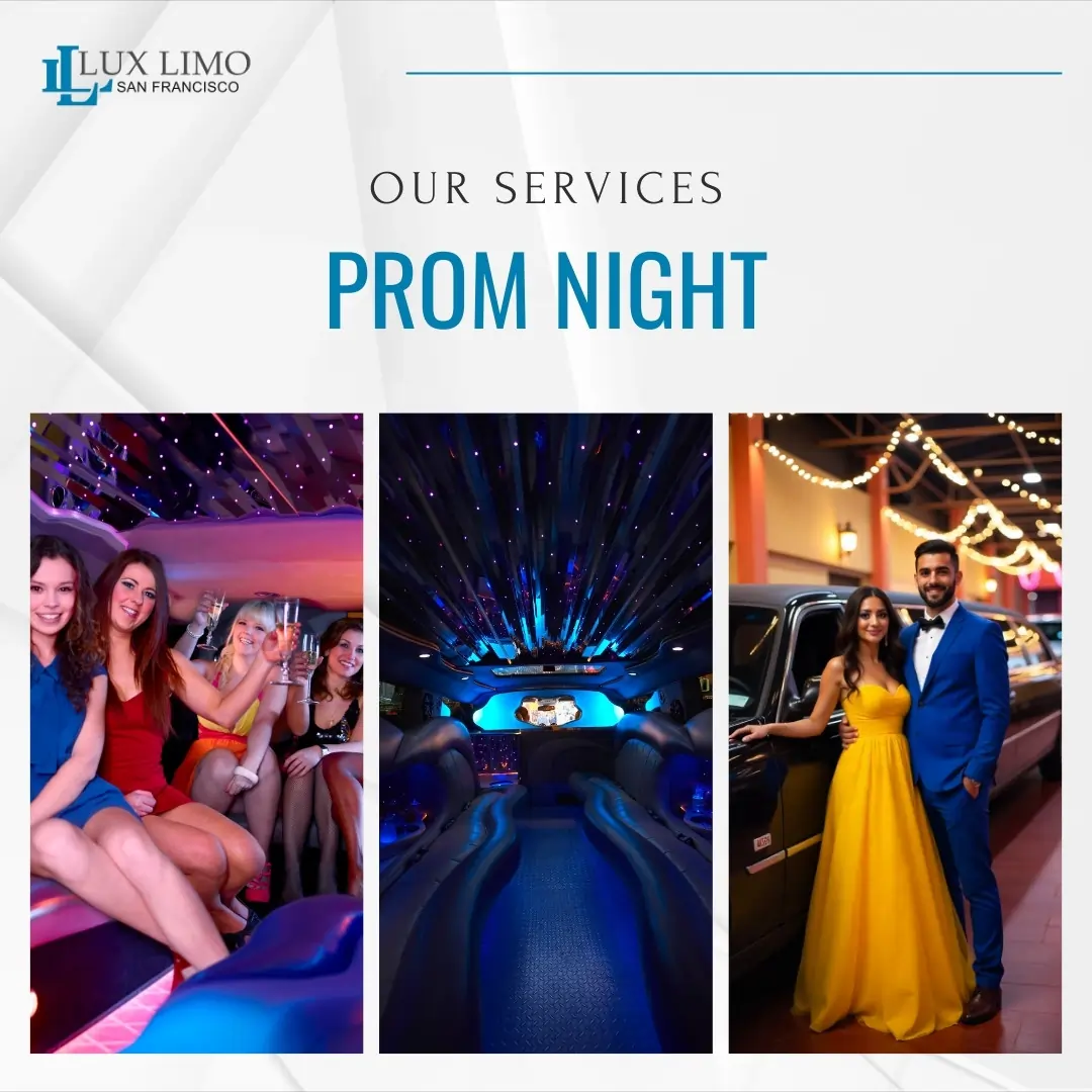 slider-sfluxlimo (3)